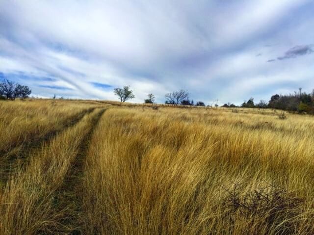 vitaagri.bg
