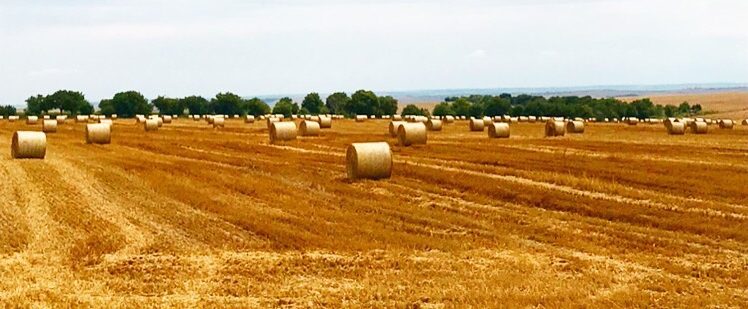 vitaagri.bg