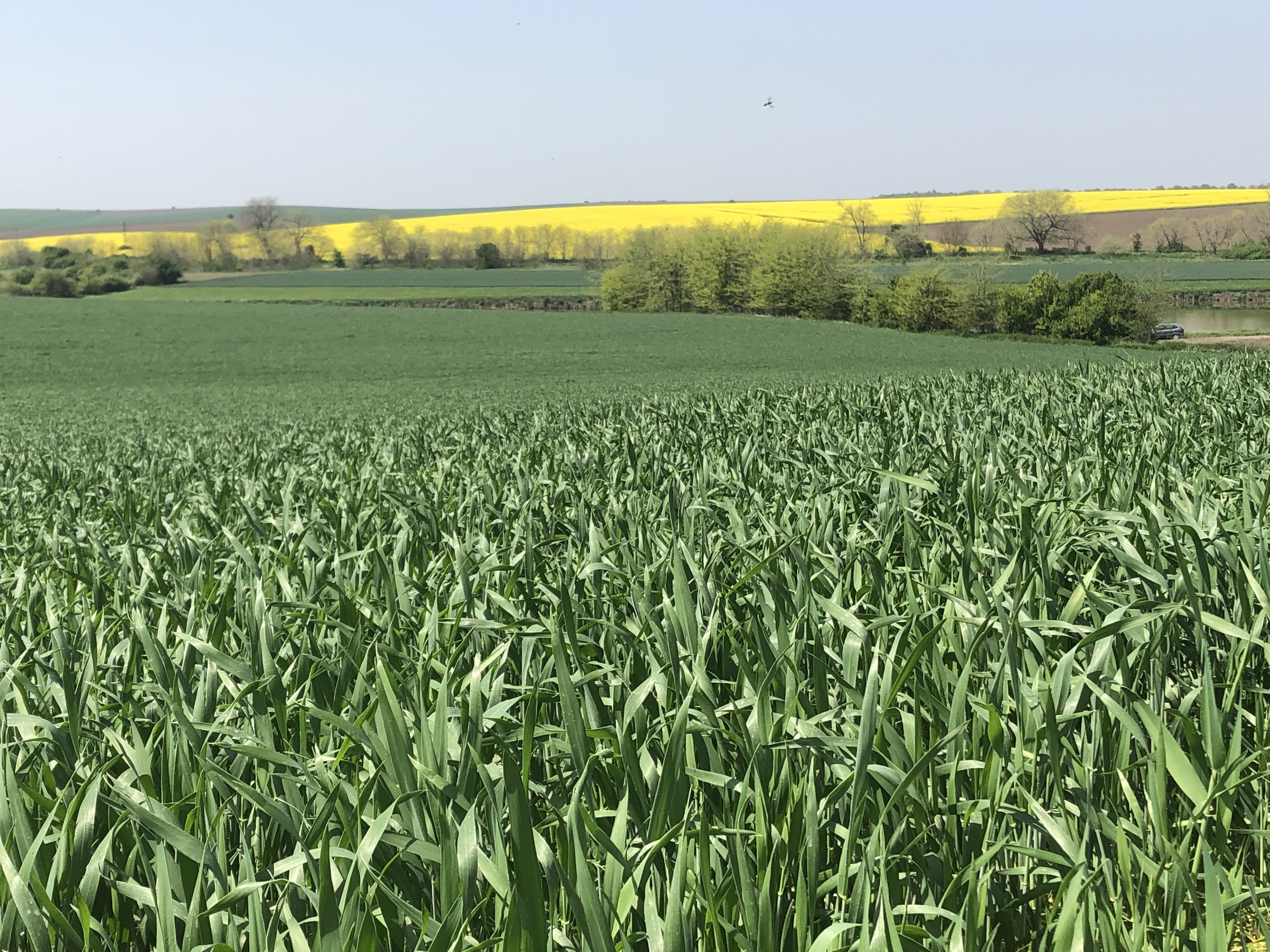 vitaagri.bg
