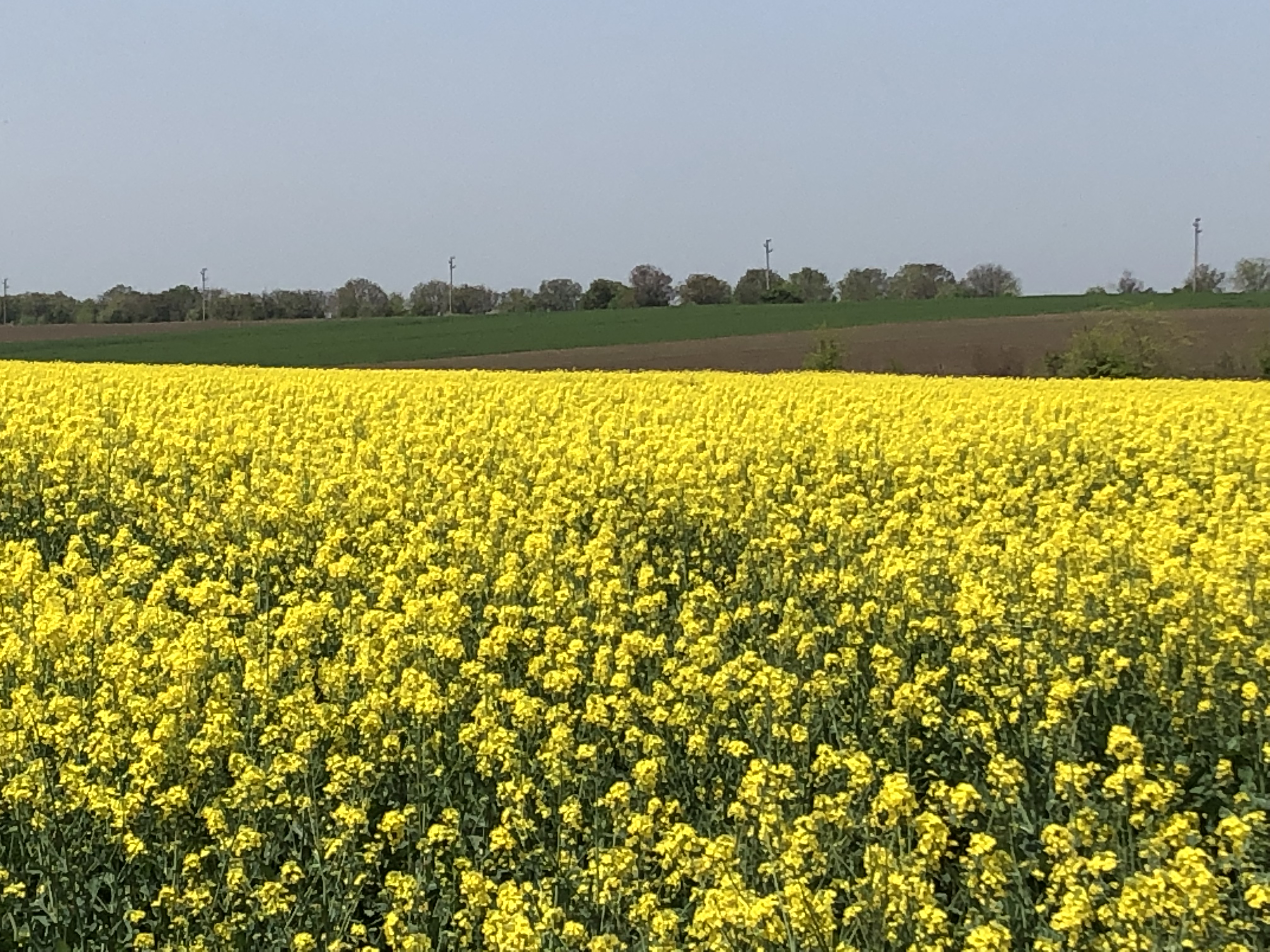 vitaagri.bg